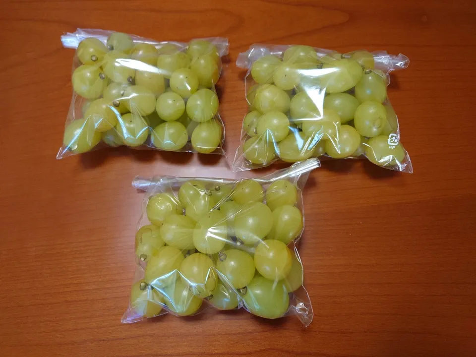 自然に寄り添い育てたぶどう<岡山県産シャインマスカット>殺菌剤・殺虫剤・化学肥料・除草剤を使わない栽培