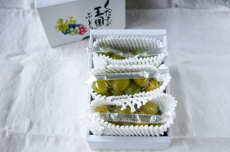 自然に寄り添い育てたぶどう<岡山県産シャインマスカット>殺菌剤・殺虫剤・化学肥料・除草剤を使わない栽培