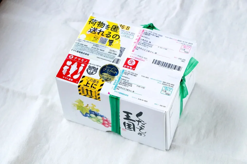 自然に寄り添い育てたぶどう<岡山県産シャインマスカット>殺菌剤・殺虫剤・化学肥料・除草剤を使わない栽培