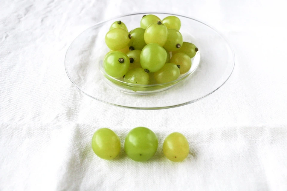 自然に寄り添い育てたぶどう＜岡山県産シャインマスカット＞殺菌剤・殺虫剤・化学肥料・除草剤を使わない栽培