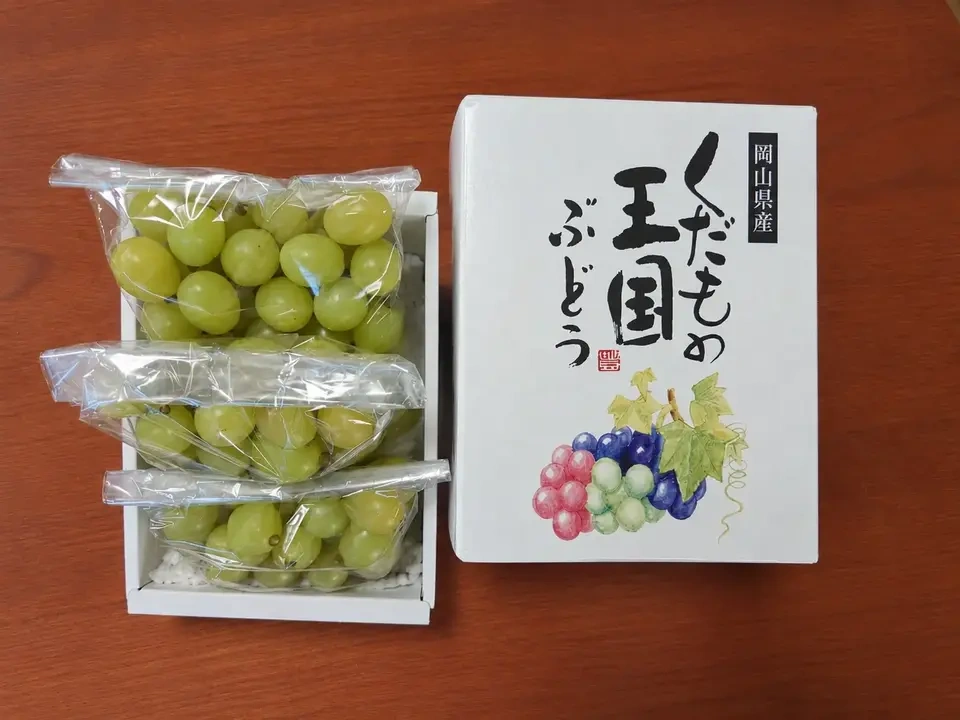 自然に寄り添い育てたぶどう＜岡山県産シャインマスカット＞殺菌剤・殺虫剤・化学肥料・除草剤を使わない栽培