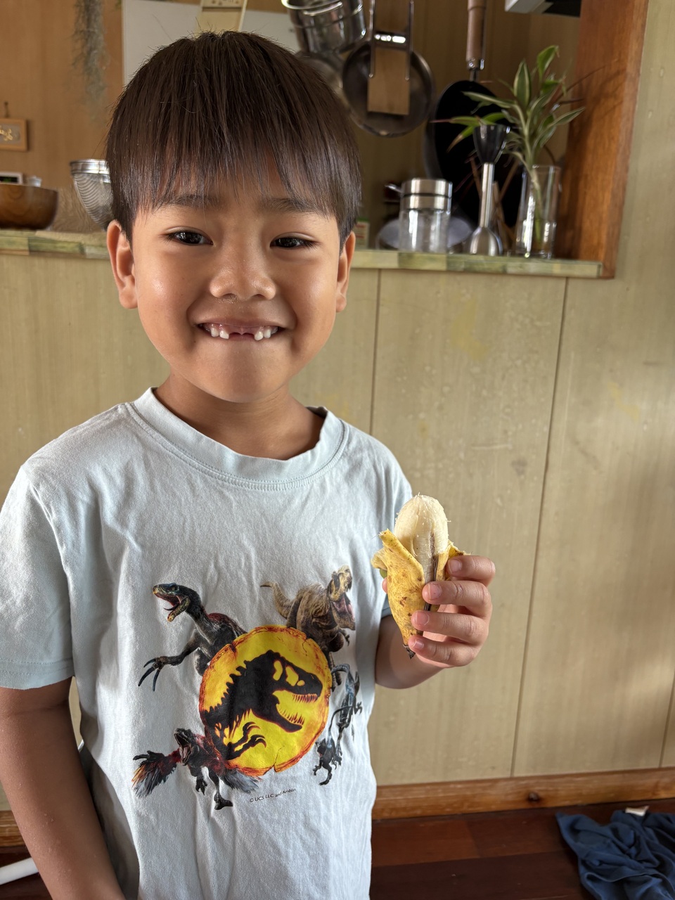 沖縄県産アップルバナナ　農薬や肥料は使わずなるべく自然のチカラで育てた🍌