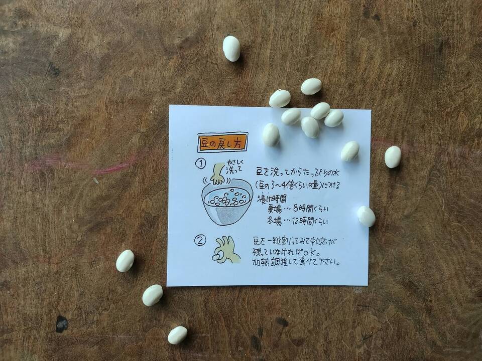 自家採種の在来いんげん豆 【白手亡】農薬・肥料・除草剤不使用