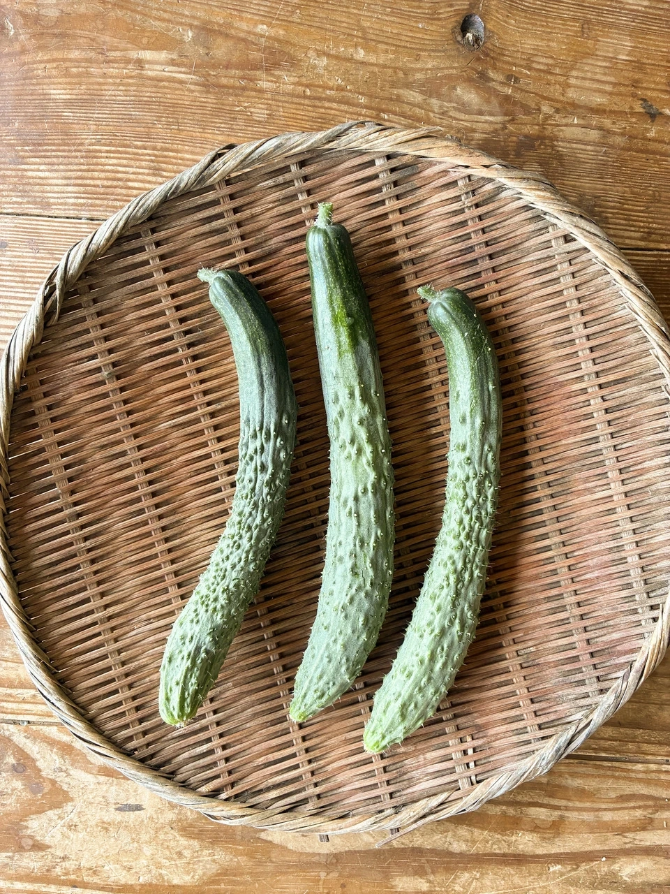 昔ながらの味わい【四葉(スーヨー)きゅうり】|露地栽培・農薬・肥料・除草剤不使用