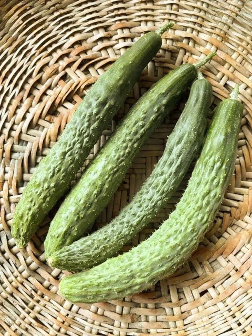 昔ながらの味わい【四葉(スーヨー)きゅうり】|露地栽培・農薬・肥料・除草剤不使用