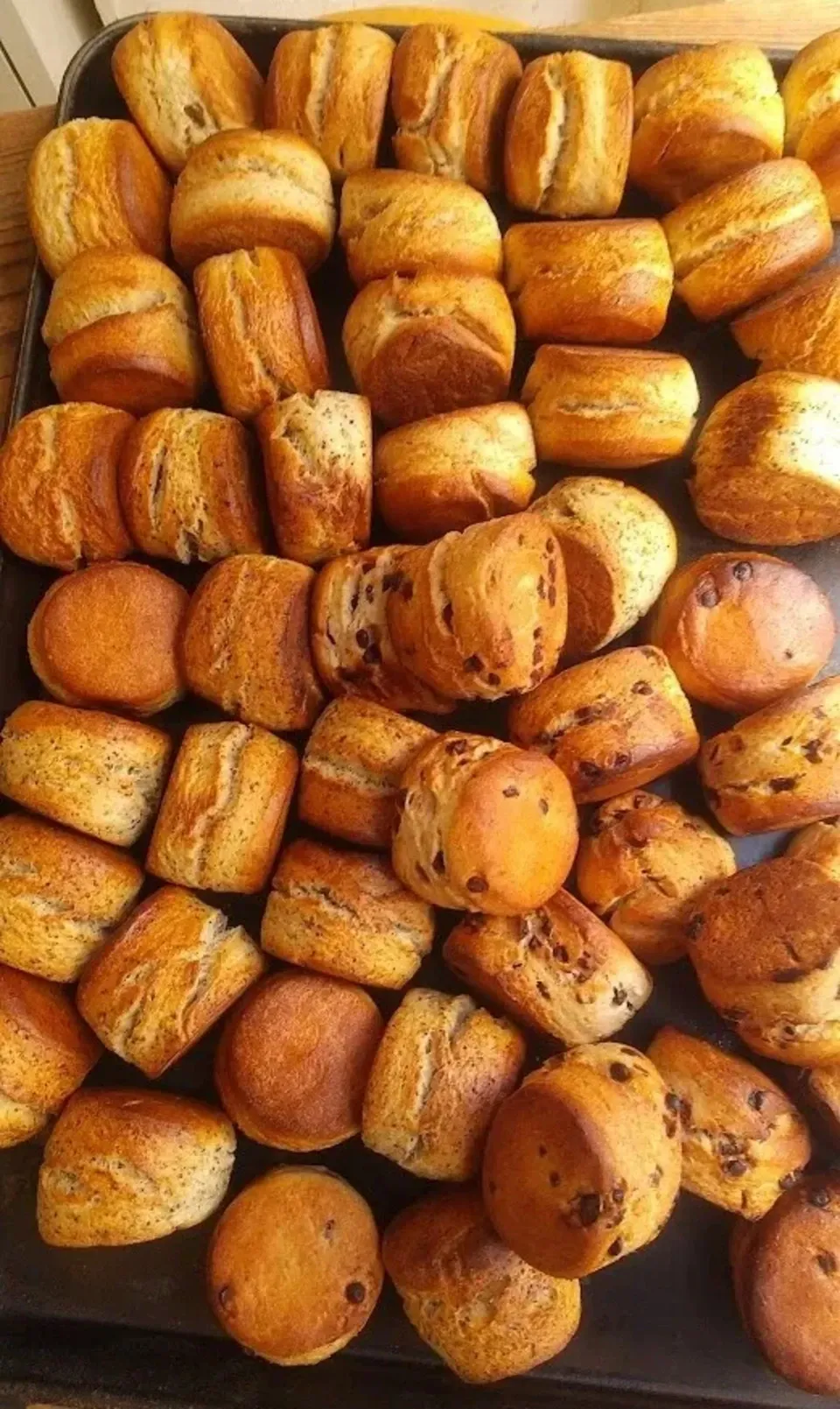 国産小麦の石窯焼き菓子＜プレーンスコーン、紅茶スコーン、有機チョコスコーン＞表面ザクザク、中はしっとり