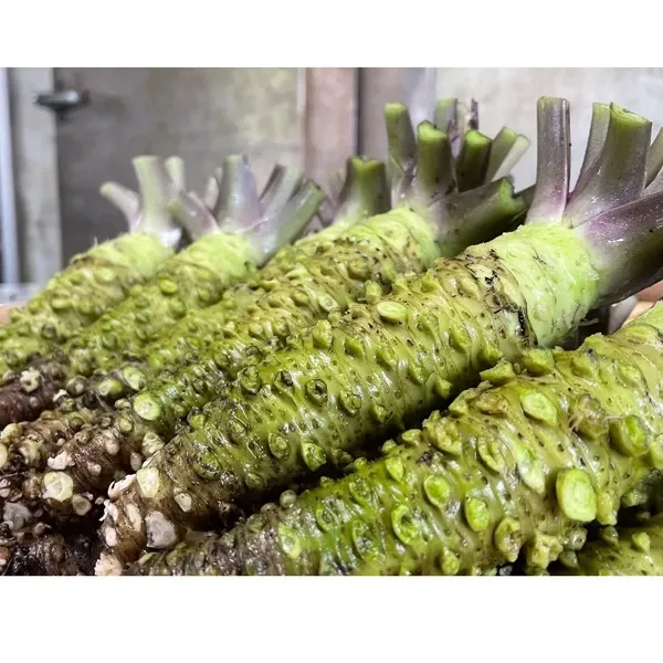 最高級品種！無農薬 真妻わさび120g jadarasa (静岡県産