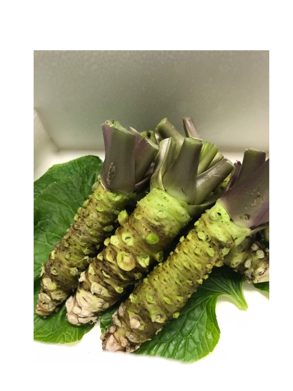 天城山麓わさびSサイズ（２５０g）