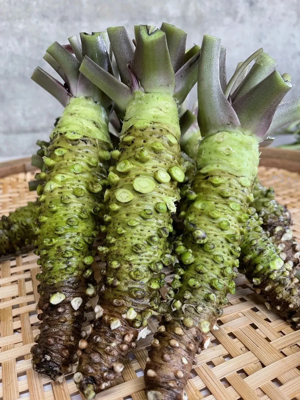 無農薬　安曇野産　わさびの花1.5kg 無農薬 安曇野産 わさびの花 1kg 食品