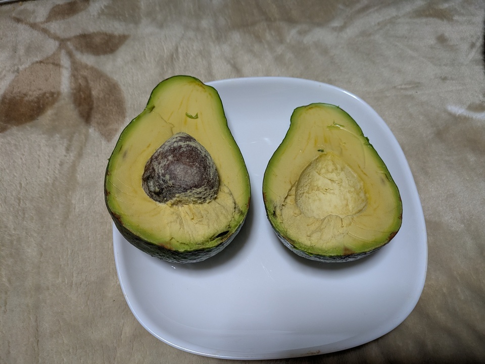 愛媛中島産　アボカド　クウネルアソブ様 奇跡の国産(愛媛アボカド) ｜ 野菜/その他野菜 産直アウル 農家・漁師