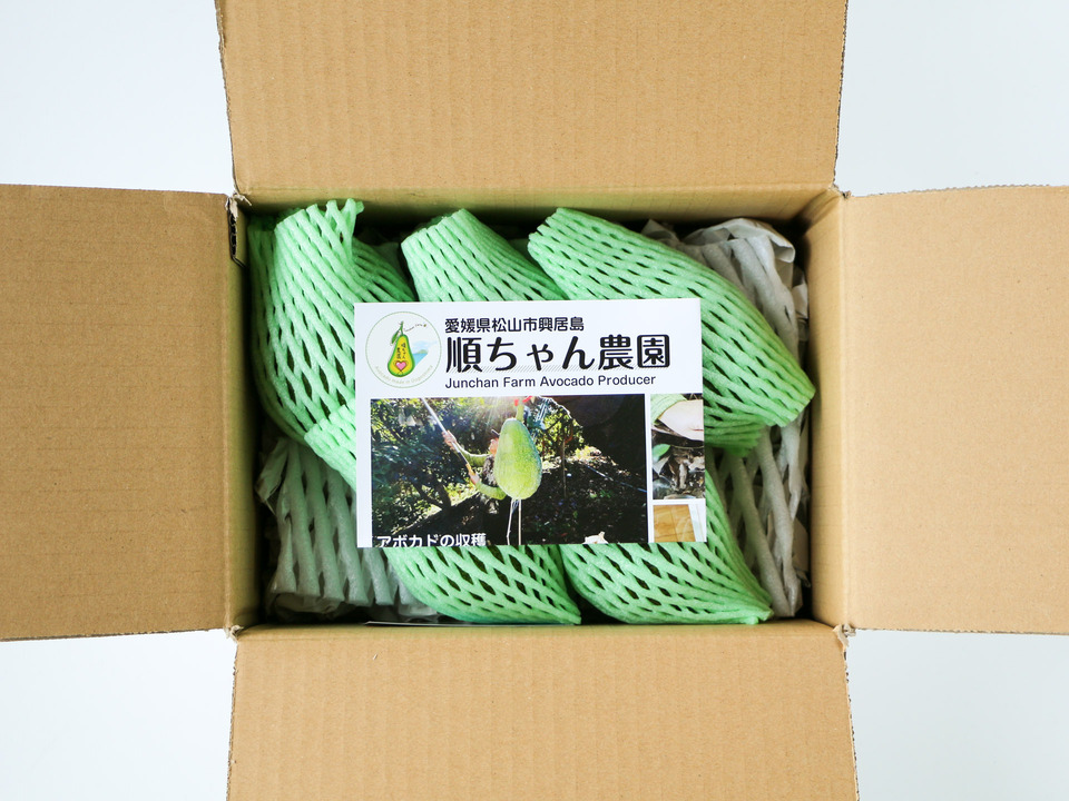 愛媛中島産　アボカド　クウネルアソブ様 愛媛県産「幻の国産アボカド」を発見！栄養たっぷりのアボガドを産直
