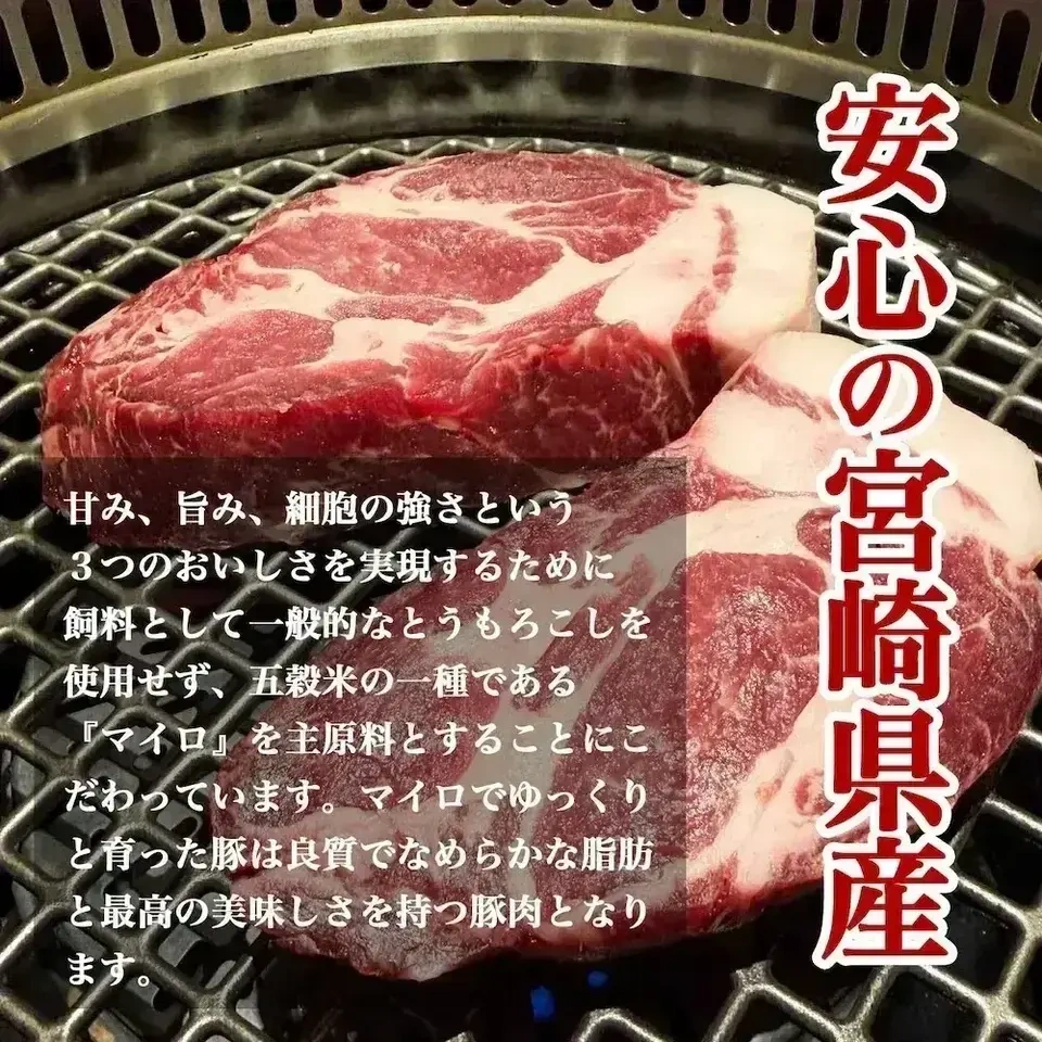 「さんきょうみらい豚」熟成ももうす切り