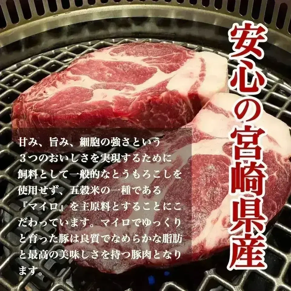 【贈答箱】「さんきょうみらい豚」熟成豚カタロース(しゃぶしゃぶ・ステーキ)