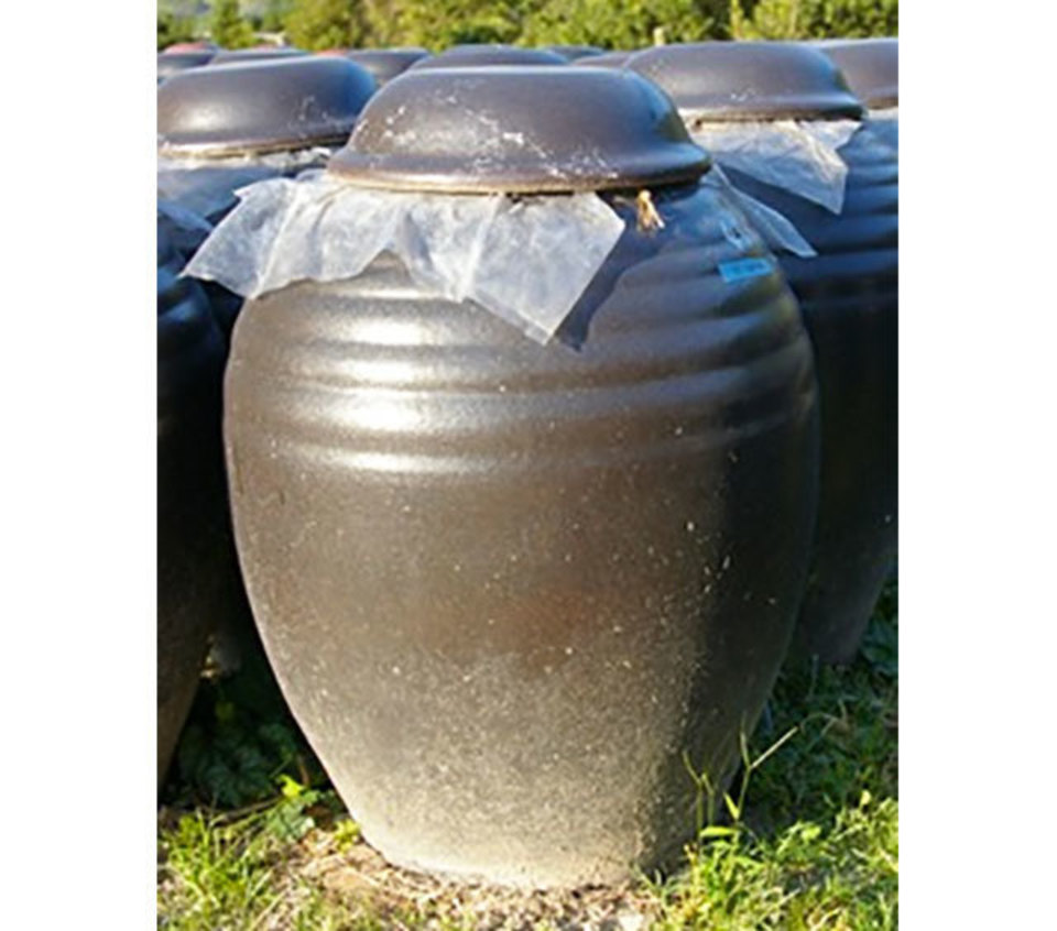 福山黒酢　5年熟成 有機黒酢 桷志田 宝 500ml x6本セット 五年熟成 【桷志田 宝】 有機原料の黒酢 桷志田（かくいだ