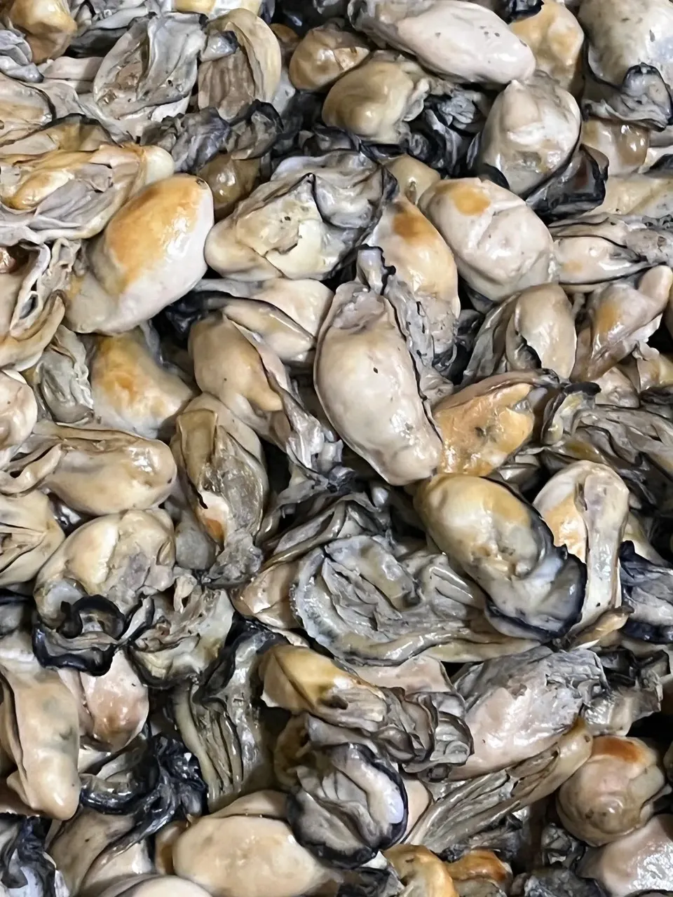 お酒の肴にぴったり　地元石川県産〈能登がき佃煮〉素材の味そのままのこだわりの佃煮製品