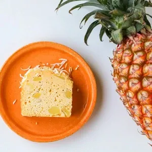 グレインフリーケーキブレッド【ココナッツ＆パイン】穀物・小麦・米粉・白砂糖・乳製品不使用