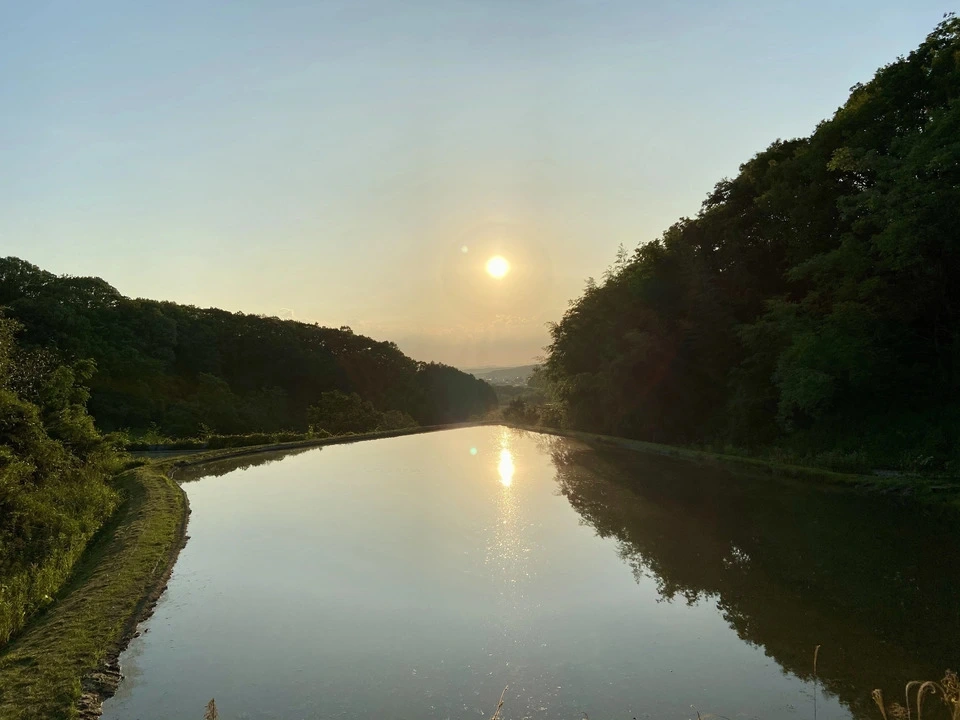 【新米予約受付中】令和8年度産 <白米>コシヒカリ|農薬・除草剤・化学肥料不使用