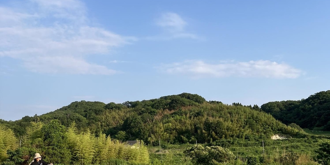 除草剤を使わない米作りにおいてとっても大切な除草作業 | お知らせ