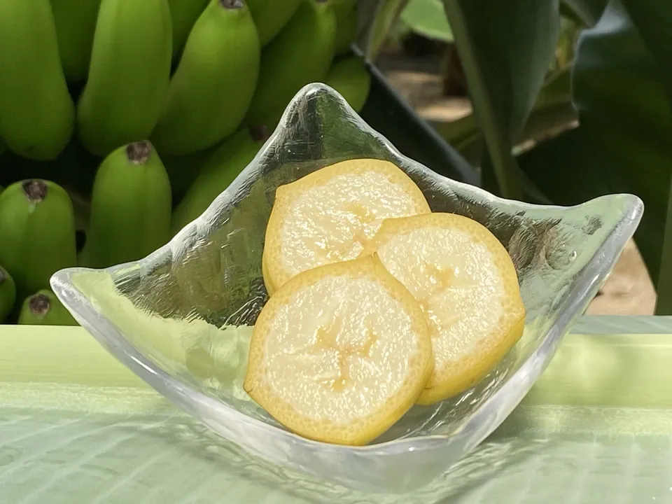 【ギフト】農薬不使用金太郎バナナ＜プレミアム・スペシャル＞皮まで食べられる神奈川県産グロスミッシェル