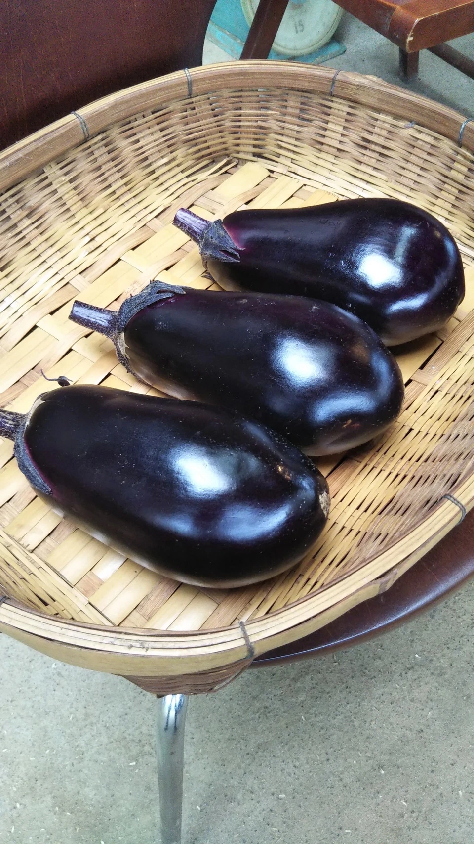 農薬不使用 足柄なす 5本入り