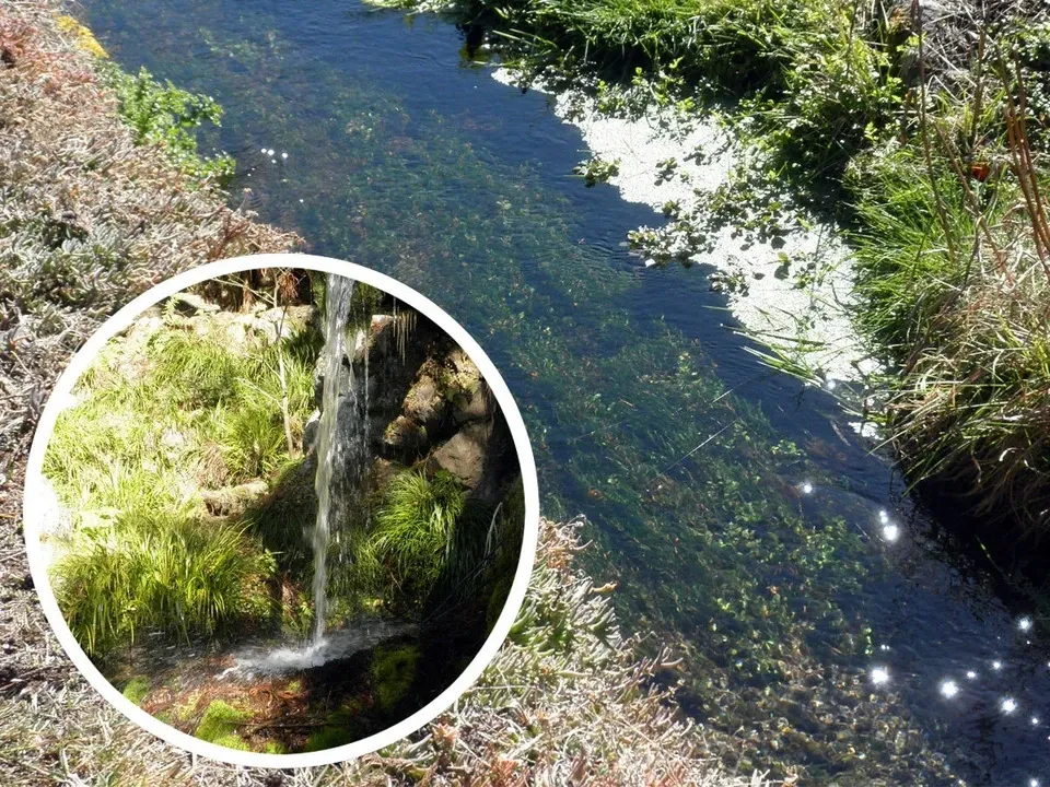 無添加手作り＜延命味噌＞八ヶ岳の水で仕上げた味噌