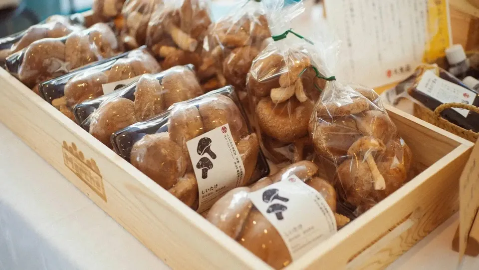 農薬・化学肥料不使用、自然栽培<阿波の玉手箱(極旨椎茸)>お野菜と平飼たまご。徳島のおいしいもの詰め合わせ【ただいま葉物中心・小さめ人参入ります】