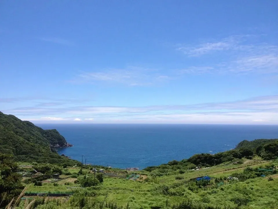 鹿児島坊津の伝統野菜<寝太郎スイカ>自然栽培の濃厚な甘みと旨みが広がる夏のごちそう