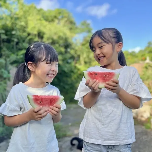 鹿児島坊津の伝統野菜＜寝太郎スイカ＞自然栽培の濃厚な甘みと旨みが