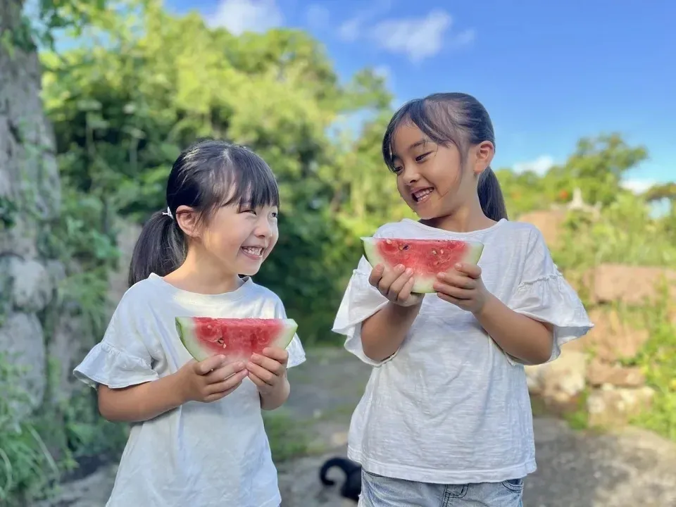 鹿児島坊津の伝統野菜<寝太郎スイカ>自然栽培の濃厚な甘みと旨みが広がる夏のごちそう