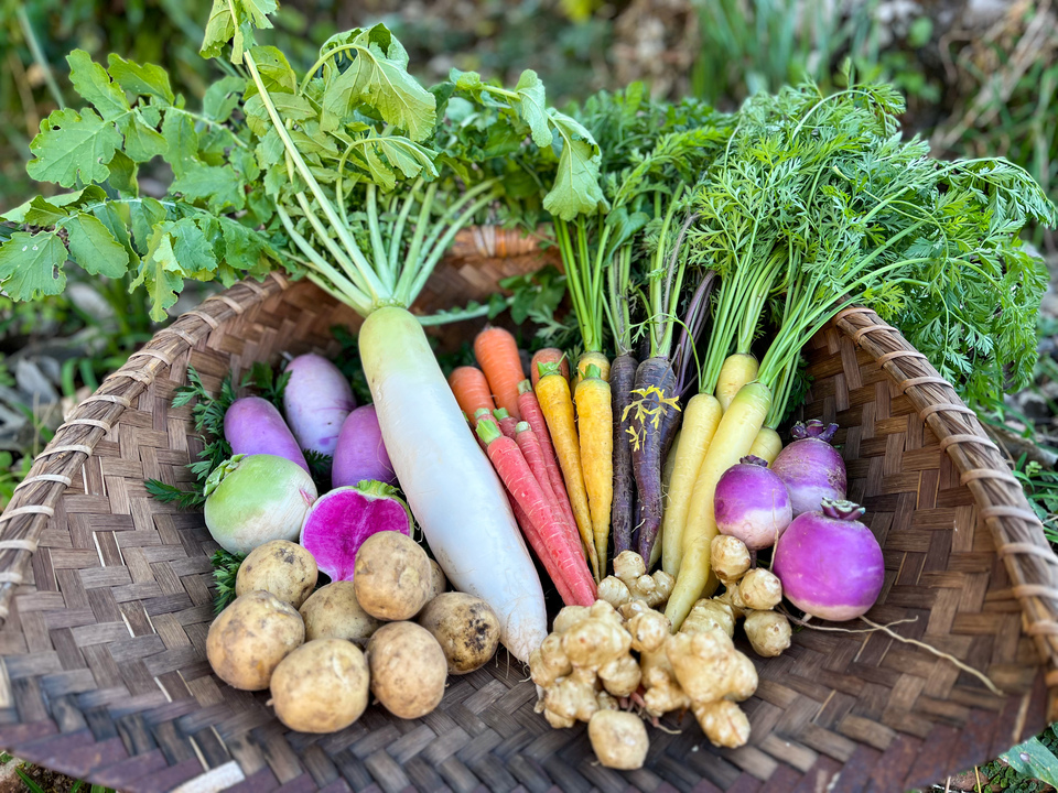 専用　旬野菜　新じゃがカラフルセット 専用 旬野菜 新じゃがカラフルセット 季節の新鮮野菜セット(12月
