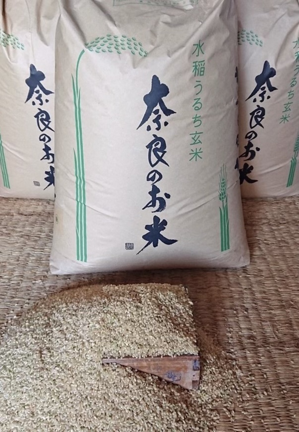 ひのひかり 玄米 令和7年産『れんげのお米』 農薬不使用・レンゲ緑肥