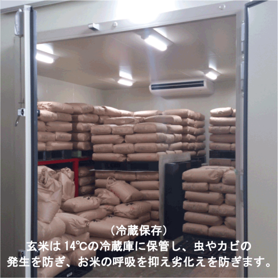 【令和7年度産】熊本県産有機JAS米<朝日>農薬化学肥料不使用・低温乾燥で旨みを閉じ込めた真空パック・甘み控えめあっさり