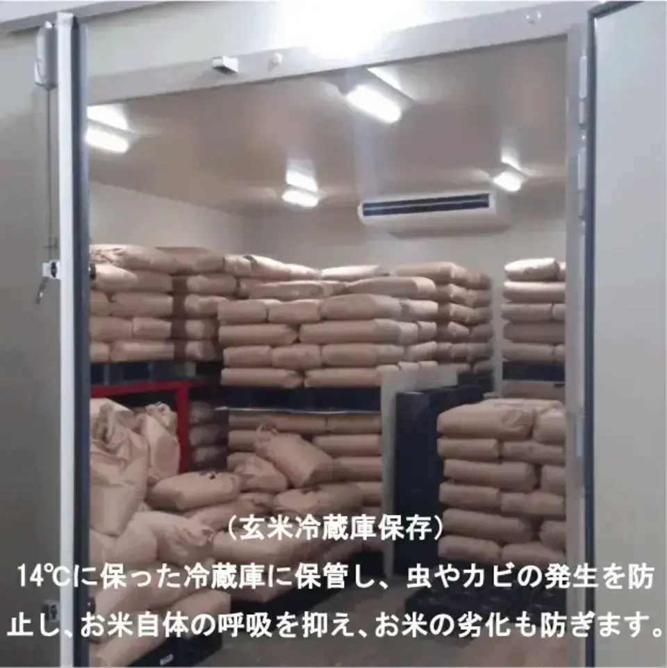 【令和8年度産】有機JAS米、朝日【出荷予定:11月中頃】