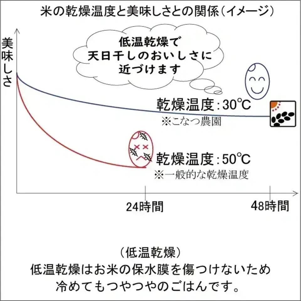 【令和8年度産】有機JAS米、朝日【出荷予定:11月中頃】