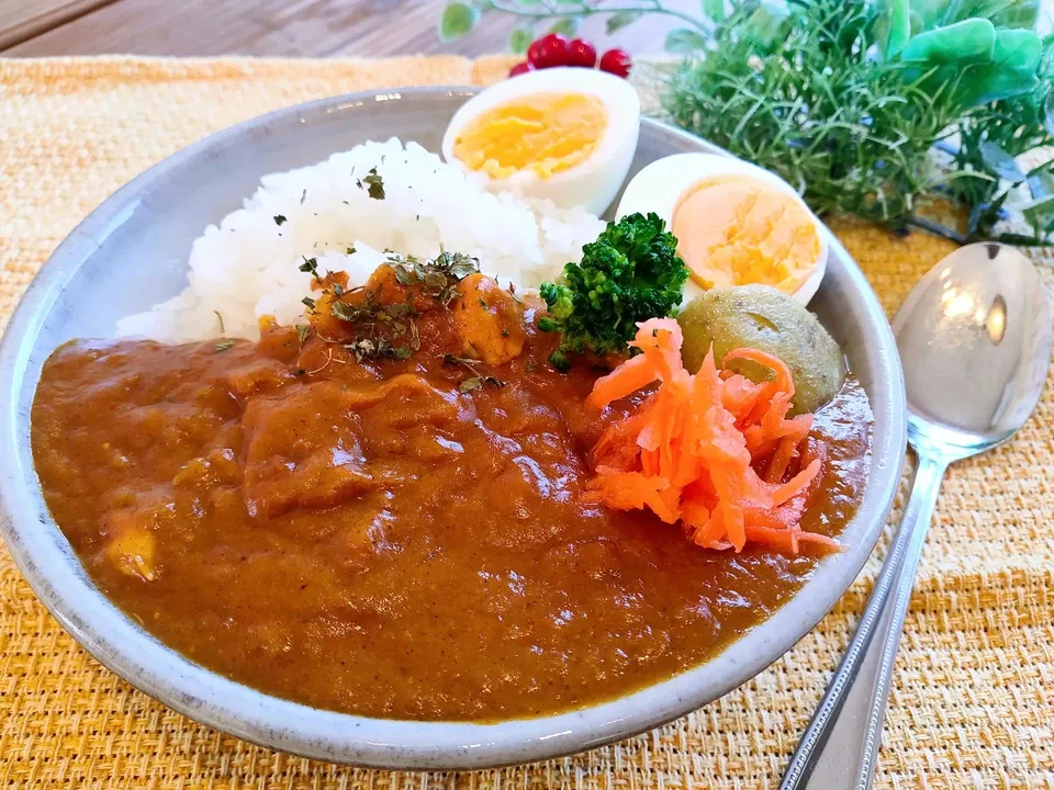 辛い。でも、スプーンが止まらない。うま味たっぷり!!辛口スパイスカレー。厳選4種の食べ比べセット <無添加・グルテンフリー・砂糖不使用天日塩100%>