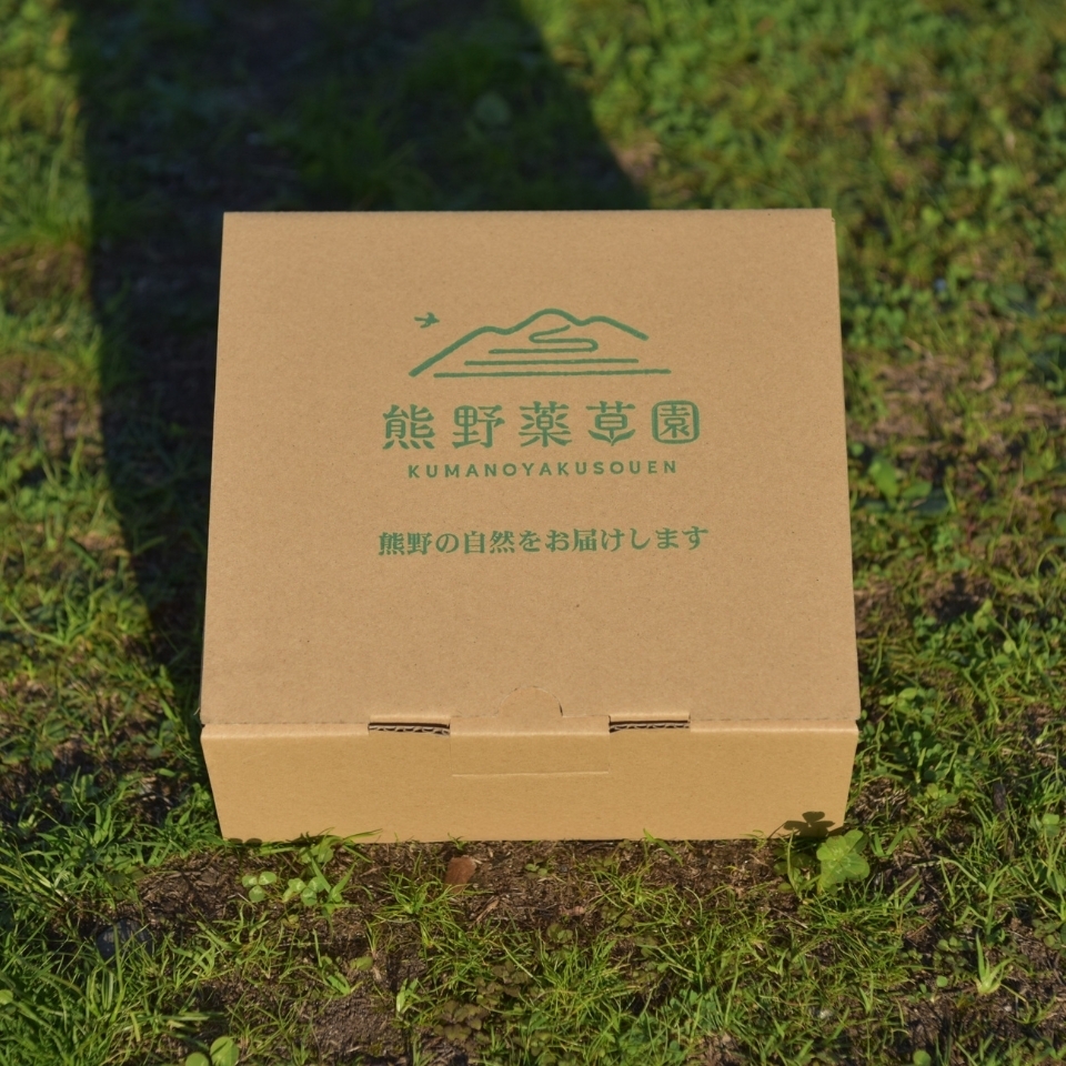 【無農薬・無肥料栽培】キウイフルーツ(ヘイワード)【三重県熊野市産】