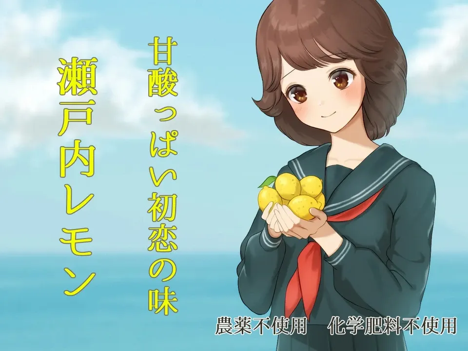無農薬・広島産瀬戸内レモン 注文後収穫 国本農園 (広島県産) 果物