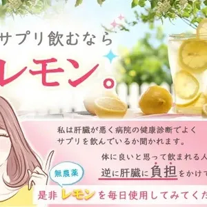 無農薬・広島産瀬戸内レモン 注文後収穫 国本農園 (広島県産) みかん