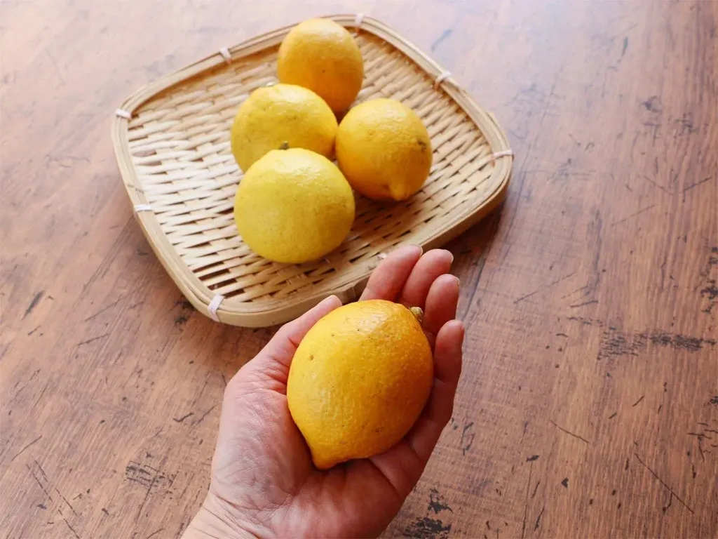 広島県産、栽培期間中農薬不使用レモン、10キロ箱 pd_685288461747601e7608ac1d09c