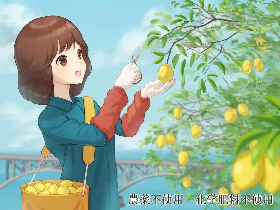 mu*  広島県産 無農薬レモン 7キロ sd2_3bdd00fbc8e2ec2bde4befc389