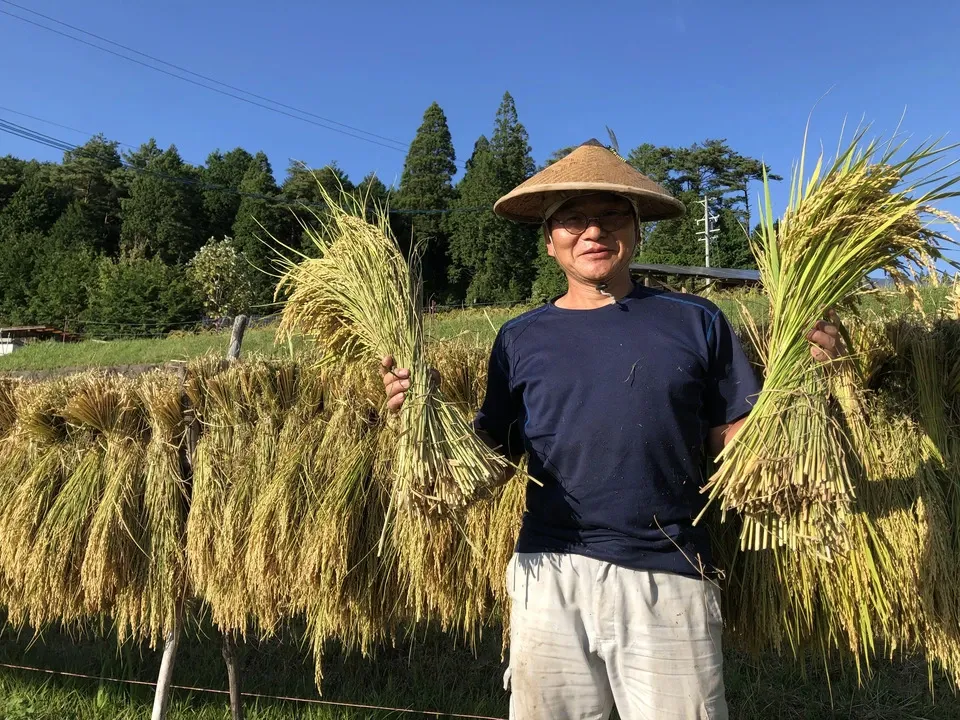 希少な在来種を味わう＜天日干し玄米6品種食べ比べセット＞農薬・肥料・除草剤不使用
