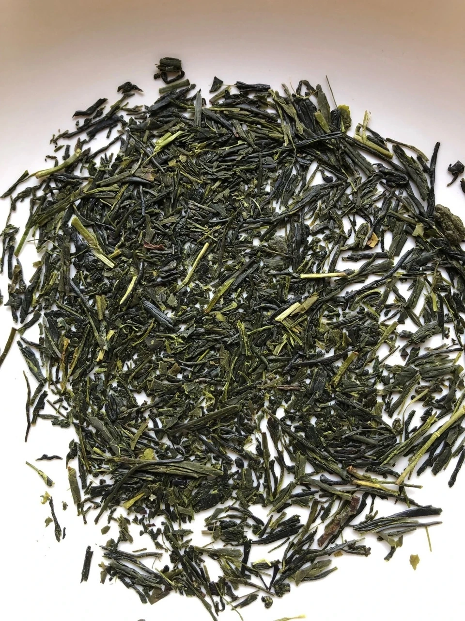 白川茶(煎茶)令和8年度産