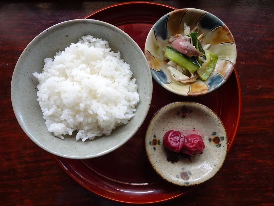 【予約販売】令和8年度産　新米｜イセヒカリ農薬・化学肥料・除草剤不使用