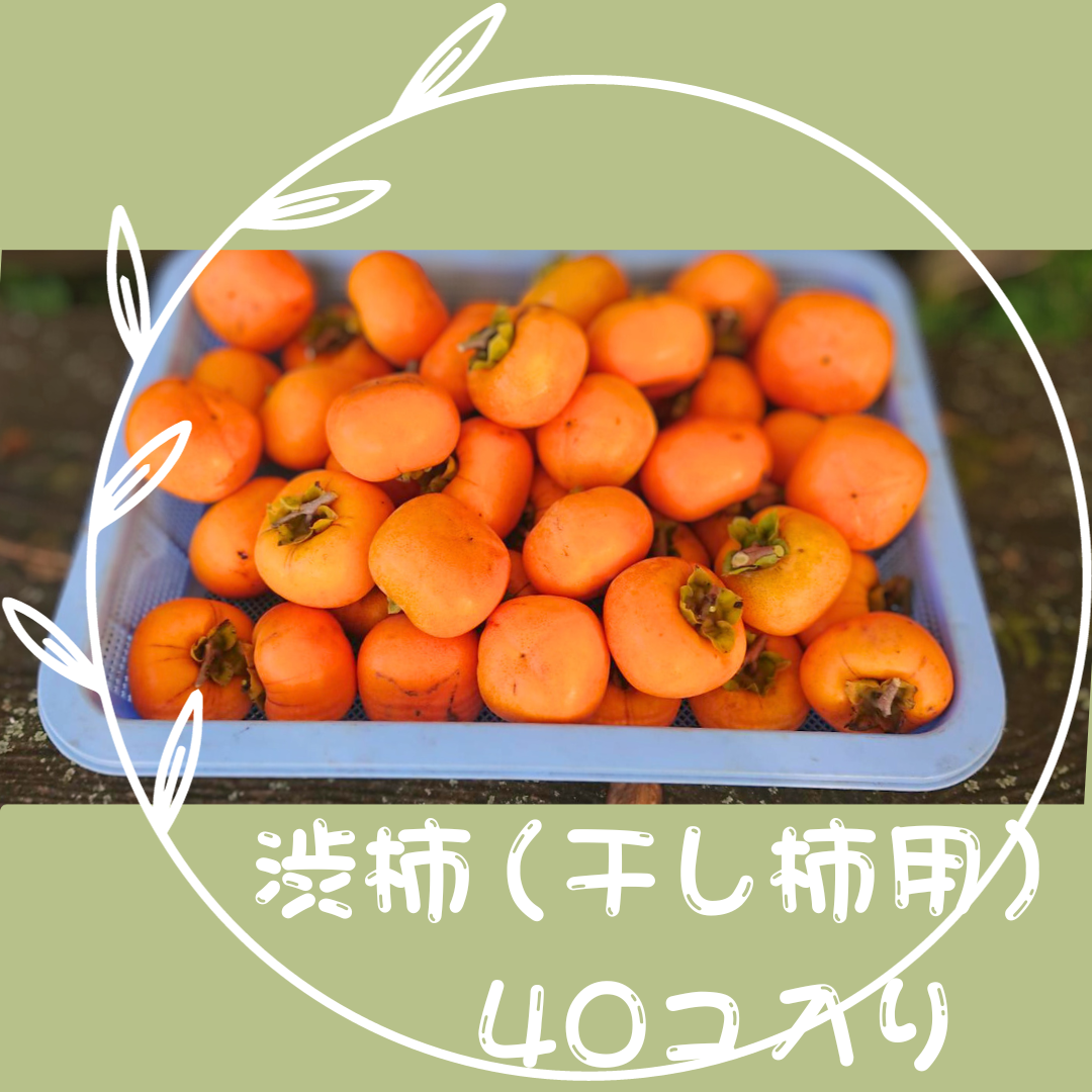 231103110932.png