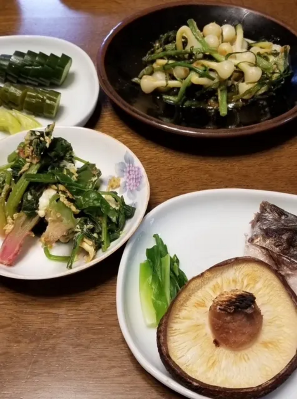 予約開始!【クール便発送】天然<春の山菜セット>飯綱の里山で芽吹いた採れたて山菜の詰め合わせ