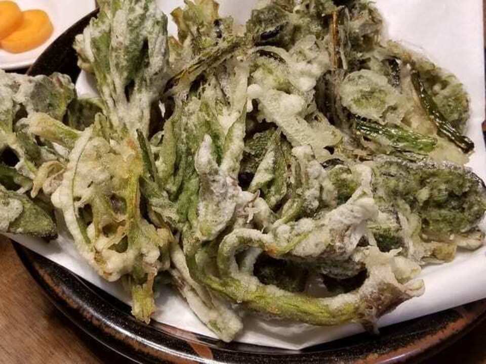 予約開始!【クール便発送】天然<春の山菜セット>飯綱の里山で芽吹いた採れたて山菜の詰め合わせ