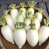３kg、６～１２本