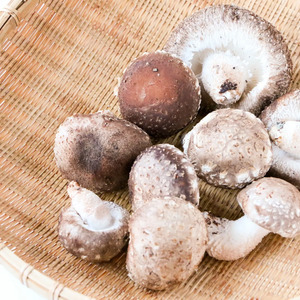 肉厚ぷりぷりなめこ5キロ 【公式通販】 秋田県産 肉厚ぷりぷりなめこ2