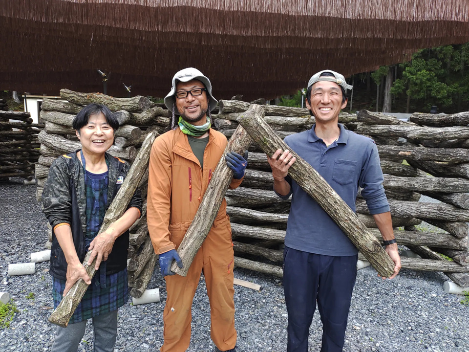 無添加・国産乾燥きのこ＜詰め合わせ5袋セット＞京都京北産原木しいたけ・舞茸・きくらげ・なめこ