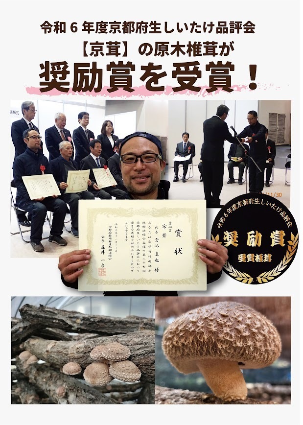 里山と生きる「京茸」について - たべるとくらすと